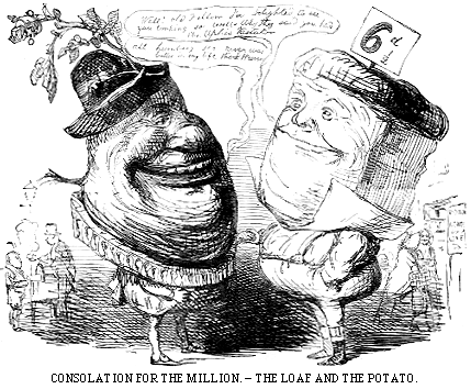 Food in political cartoons: depicting society. Main themes and evolution